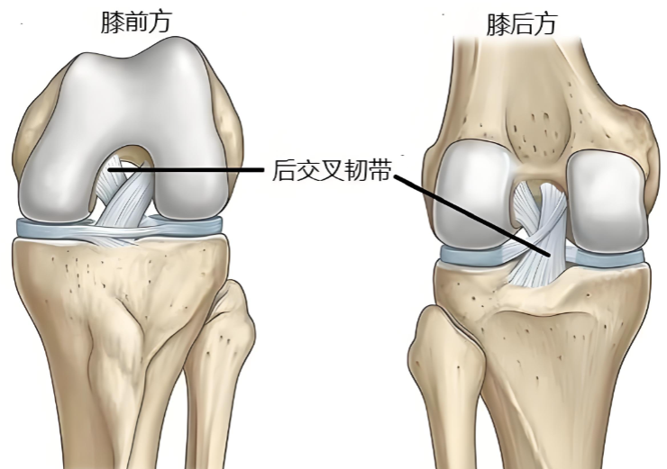 微信圖片_2025-10-31_103114_073 微信圖片_2025-10-31_103114_073