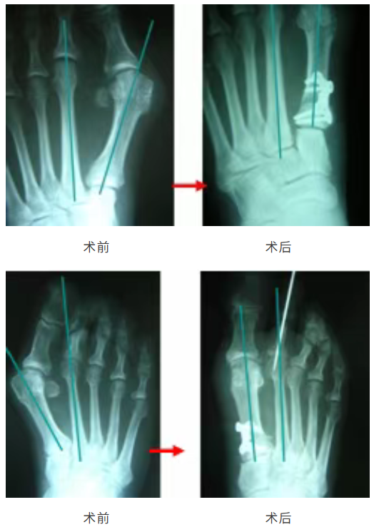 微信圖片_2025-08-07_125800_856